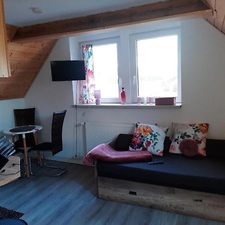 Apartamencik Rafi 20M2 ชวีโนวิชแจ ภายนอก รูปภาพ