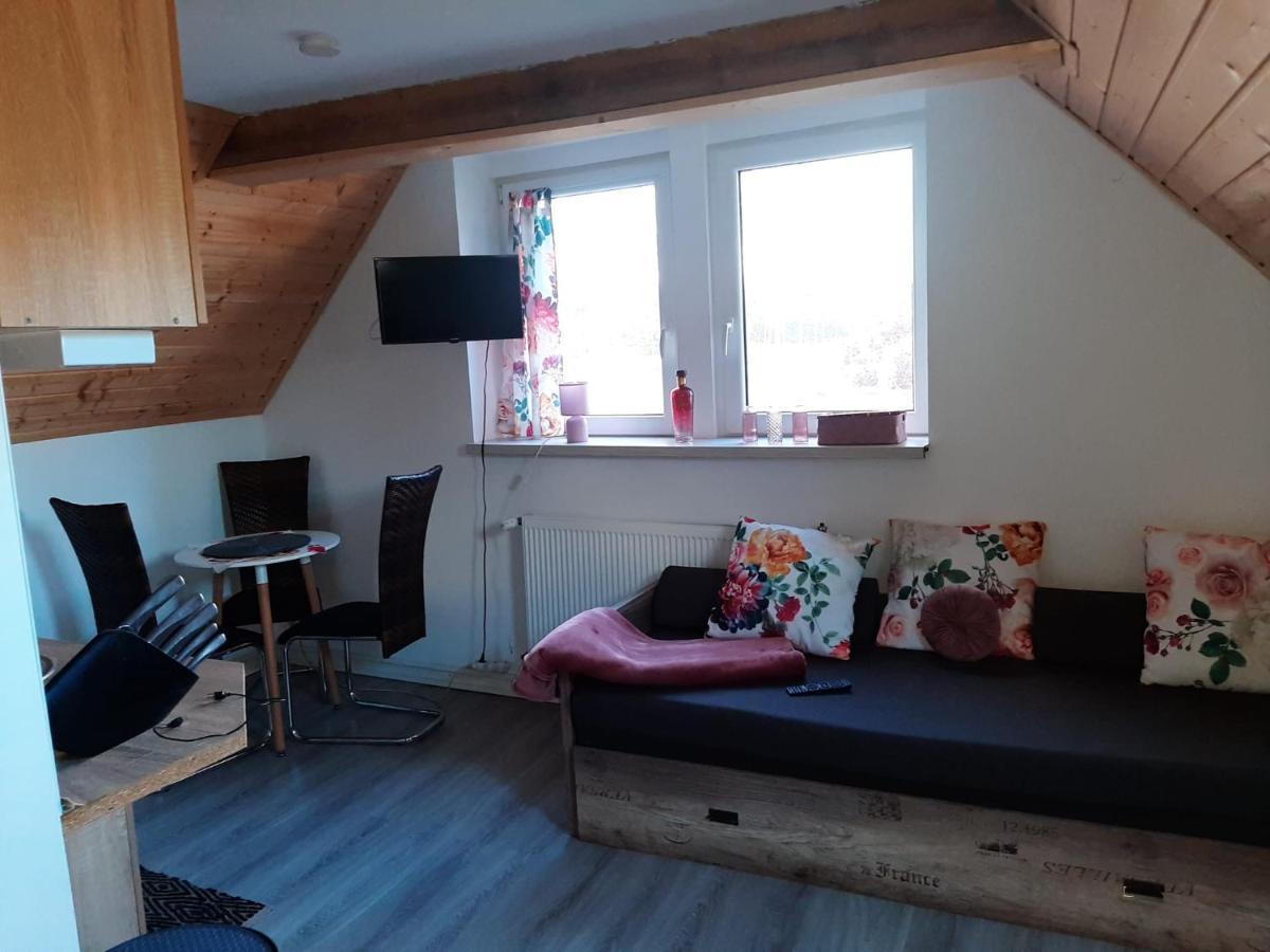 Apartamencik Rafi 20M2 ชวีโนวิชแจ ภายนอก รูปภาพ